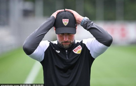 德甲球队斯图加特训练备战比赛
        
    德甲球队斯图加特训练备战比赛